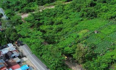 Tanah Tepi Jalan Adisucipto sampai Sungai Kapuas 60x270