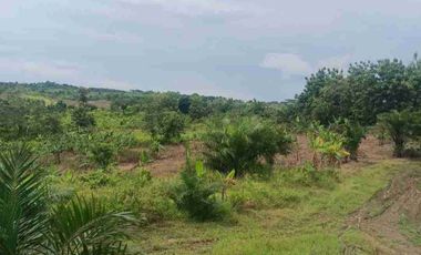 DIJUAL TANAH LUAS 150-200 Ha HARGA SUPER MURAH Rp18.000 perak per M² Lokasi Pandeglang - Cibitung Zona Industri Potensial