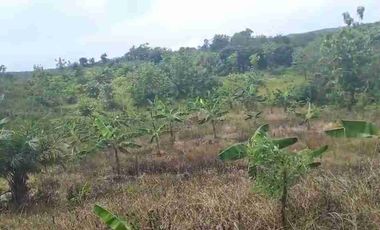 DIJUAL TANAH LUAS 150-200 Ha HARGA SUPER MURAH Rp18.000 perak per M² Lokasi Pandeglang - Cibitung Zona Industri Potensial