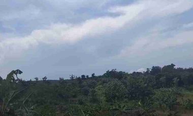DIJUAL TANAH LUAS 150-200 Ha HARGA SUPER MURAH Rp18.000 perak per M² Lokasi Pandeglang - Cibitung Zona Industri Potensial