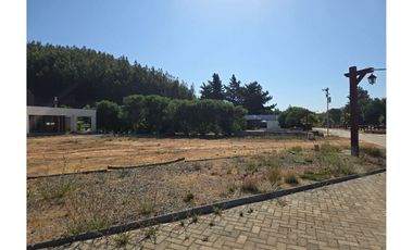 TERRENO PLANO RESERVA DE MITRINHUE