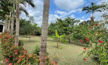 Hacienda de Lujo – Cochancay, Ecuador