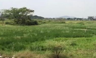 Venta de Terreno, El Buijo, Samborondon, Ecuador