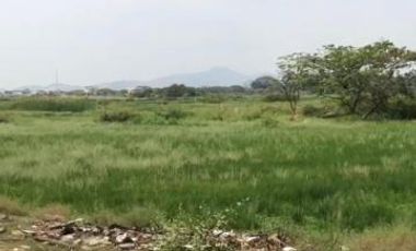 Venta de Terreno, El Buijo, Samborondon, Ecuador