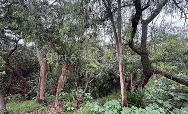 Terreno Comercial en Venta Bosques del Lago en Cuautitlan Izcalli 8,848 m2