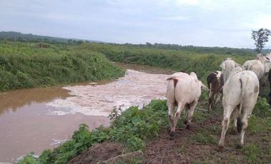 Terreno de 1,500.000 m² en venta en Chanduy