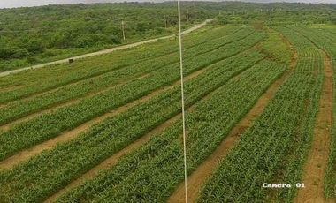 Terreno de 1,500.000 m² en venta en Chanduy