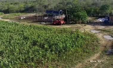 Terreno de 1,500.000 m² en venta en Chanduy