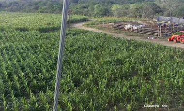 Terreno de 1,500.000 m² en venta en Chanduy