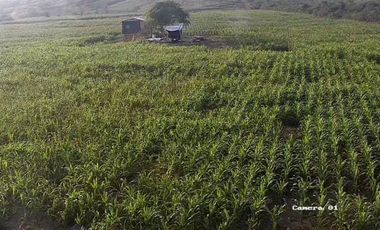 Terreno de 1,500.000 m² en venta en Chanduy