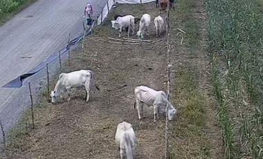 Terreno de 1,500.000 m² en venta en Chanduy