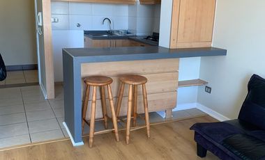 Arrendamos depto Cº Placeres Valparaiso