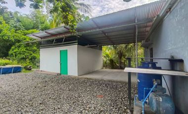3 Bedrooms Bungalow House and Lot For Rent In Bacong