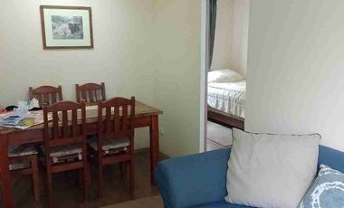 Arriendo departamento amoblado