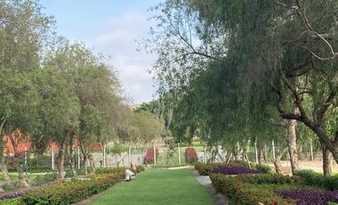 REMATO PACÍFICO TERRENO EN CONDOMINIO FUNDO PRADERA - PACHACAMAC