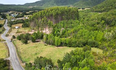 Terreno En Venta San Juan De Chadmo, Quellón