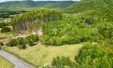 Terreno En Venta San Juan De Chadmo, Quellón