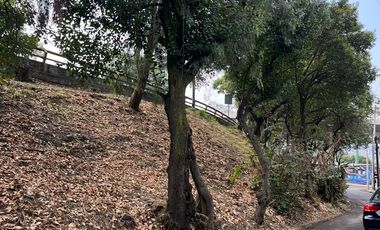 Se vende Preciosa Casa al sur de la ciudad: 4 recámaras, 2 terrazas en Tlalpan, CDMX