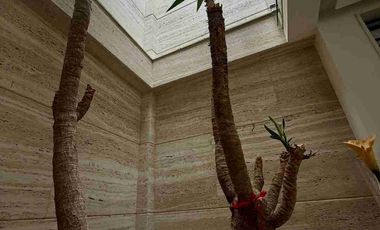 HERMOSA CASA EN BOSQUE DE LAS FIENTES VENTA