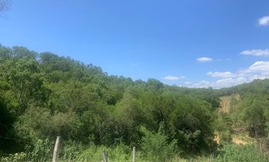 Venta de Terreno Campestre en zona de Allende, 7.5 hectáreas