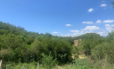 Venta de Terreno Campestre en zona de Allende, 7.5 hectáreas