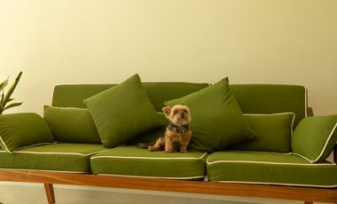 ISLA RISUEÑA/ ISLA DORADA CASA 3 RECAMARAS  + ESTUDIO CON MUELLE!!!