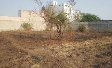 🚨🌱TERRENO EN VENTA, A 8 MIN. DEL CENTRO DE YECAPIXTLA, MORELOS🚨