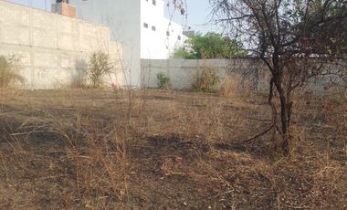 🚨🌱TERRENO EN VENTA, A 8 MIN. DEL CENTRO DE YECAPIXTLA, MORELOS🚨