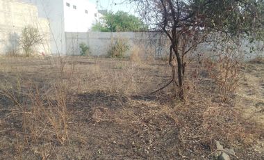 🚨🌱TERRENO EN VENTA, A 8 MIN. DEL CENTRO DE YECAPIXTLA, MORELOS🚨