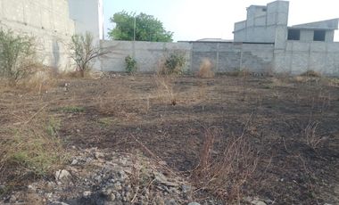 🚨🌱TERRENO EN VENTA, A 8 MIN. DEL CENTRO DE YECAPIXTLA, MORELOS🚨