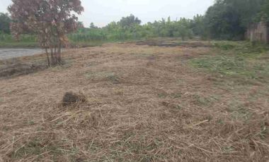 Tanah pekarangan murah siap bangun lokasi balongbendo sidoarjo