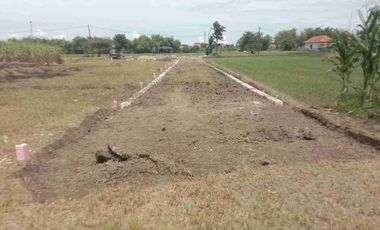 Tanah pekarangan murah siap bangun lokasi balongbendo sidoarjo