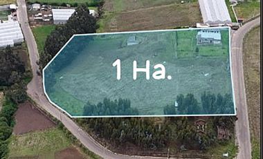 Se vende casa campestre en una hectarea de terreno  en Tabacundo