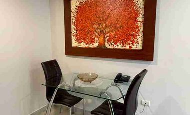 Suite Full Amoblada de Alquiler en Samborondon Plaza