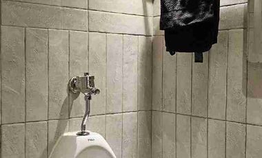 Brand New Fully Furnished House for Sale