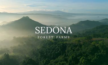 Lots for Sale in Sedona Forest Farms Subic Zambales