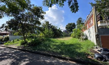 Lot in Ayala Alabang Village Lowest in the Market