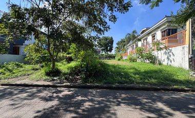 Lot in Ayala Alabang Village Lowest in the Market