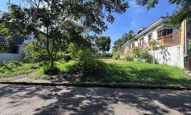 Lot in Ayala Alabang Village Lowest in the Market