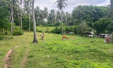 Land on the Senggigi Highway near the Qunci Villa Resort