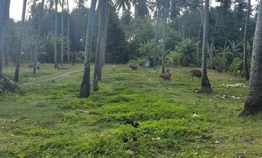 Land on the Senggigi Highway near the Qunci Villa Resort