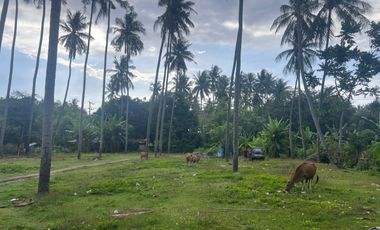 Land on the Senggigi Highway near the Qunci Villa Resort
