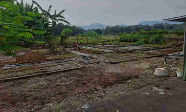 Rumah Kolam ikan & kebun