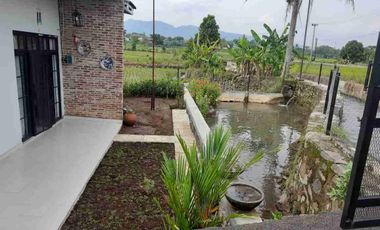Rumah Kolam ikan & kebun