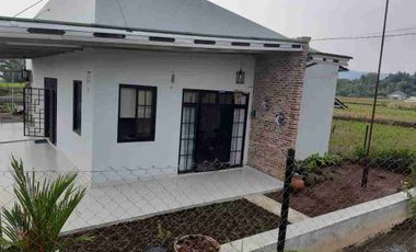 Rumah Kolam ikan & kebun