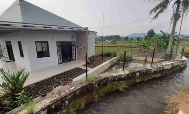 Rumah Kolam ikan & kebun