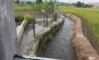 Rumah Kolam ikan & kebun