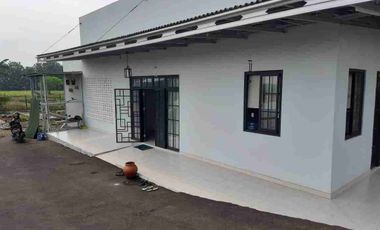 Rumah Kolam ikan & kebun