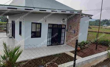 Rumah Kolam ikan & kebun