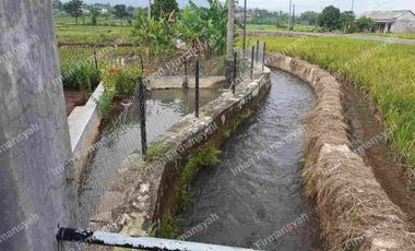 Rumah Kolam ikan & kebun